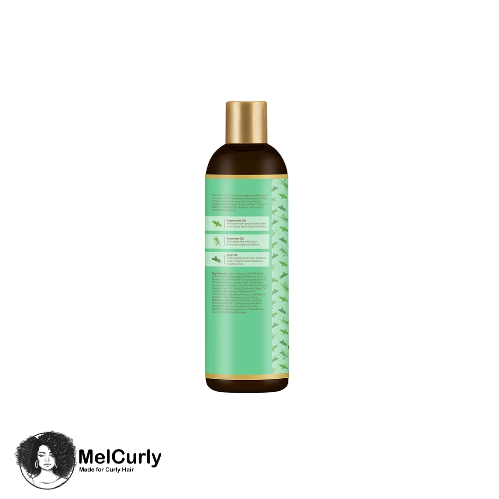 شامپو رزماری ضد ریزش افریکن پراید ۳ شامپو رزماری ضد ریزش افریکن پراید - تصویر 3