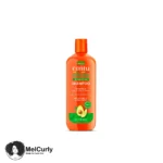 شامپو آواکادو برند کنتو موجود در سایت مل کرلی